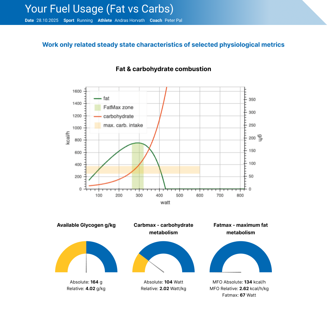 A page of the INSCYD report: the fat and carbohydrate combustion chart with the Available Glycogen, CarbMax and FatMax meters beneath it, the Available Glycogen meter highlighted
