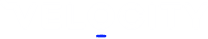 VQ Velocity