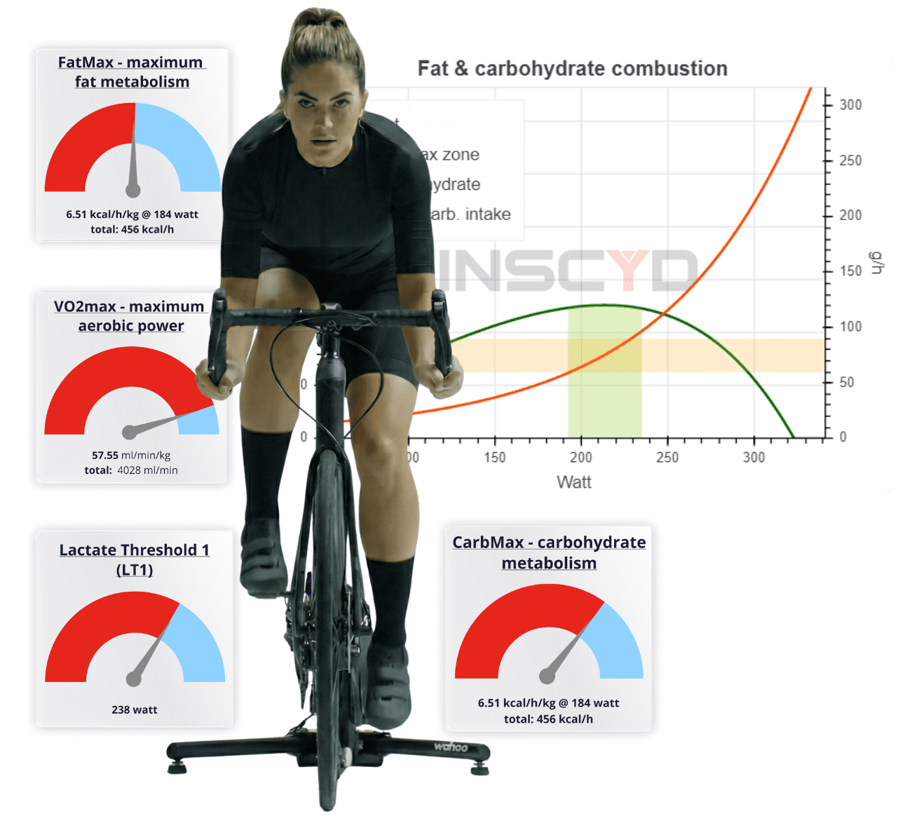 Indoor cyclist with the INSCYD fat and carbohydrate combustion graph and metric gauges